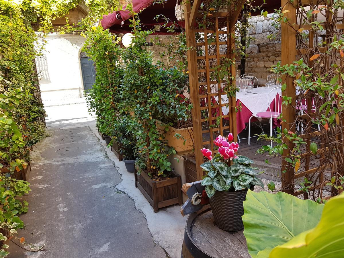 Hotel Amalfitana Pisa Exterior photo